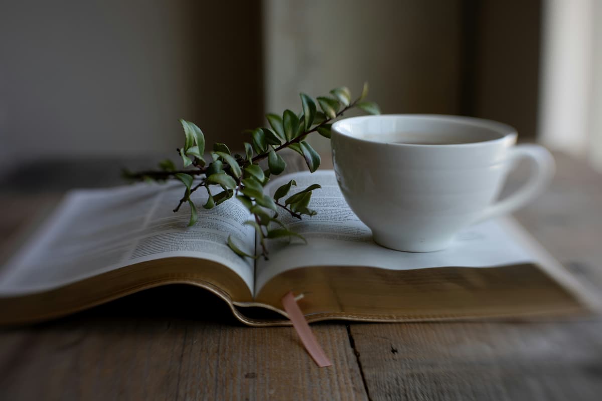 Xícara branca sobre um livro aberto, com um ramo de folhas verdes, representando um momento de pausa, reflexão e leitura.